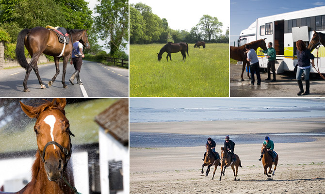 Facilities at Dreaper Racing